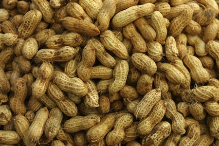 NUT PEANUTS RAW IN SHELL