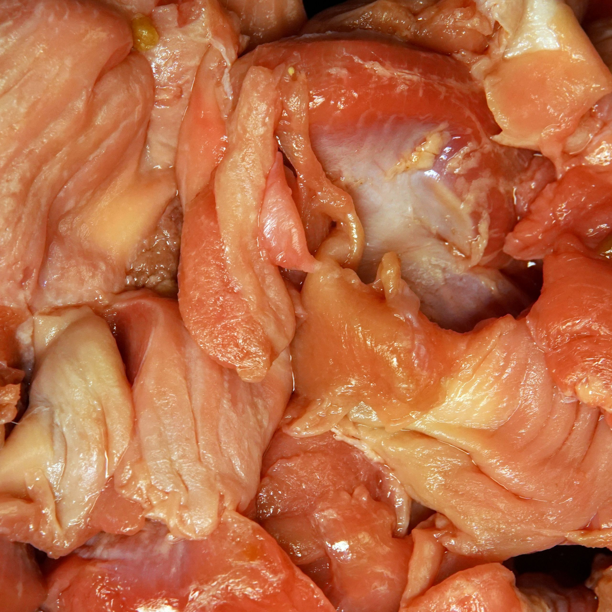 HALAL CHICKEN GIZZARDS