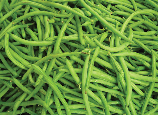 BEANS STRING