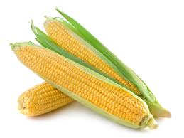 CORN ON COB UNPEELED