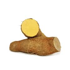 ROOT YAUTIA YELLOW