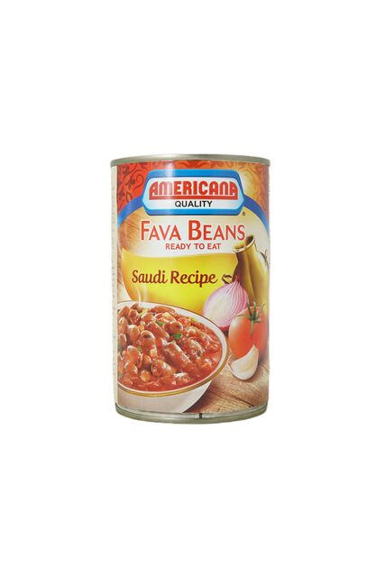 FAVA BEANS FOUL SAUDI RECIPE