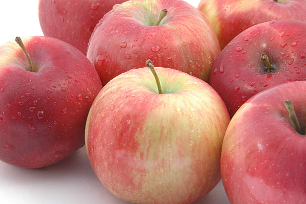 APPLE MCINTOSH