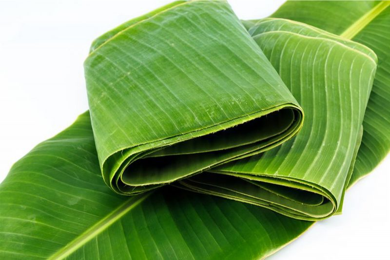 BANANAS LEAVES