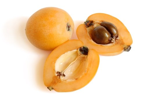 LOQUATS