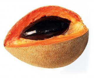 MAMEY