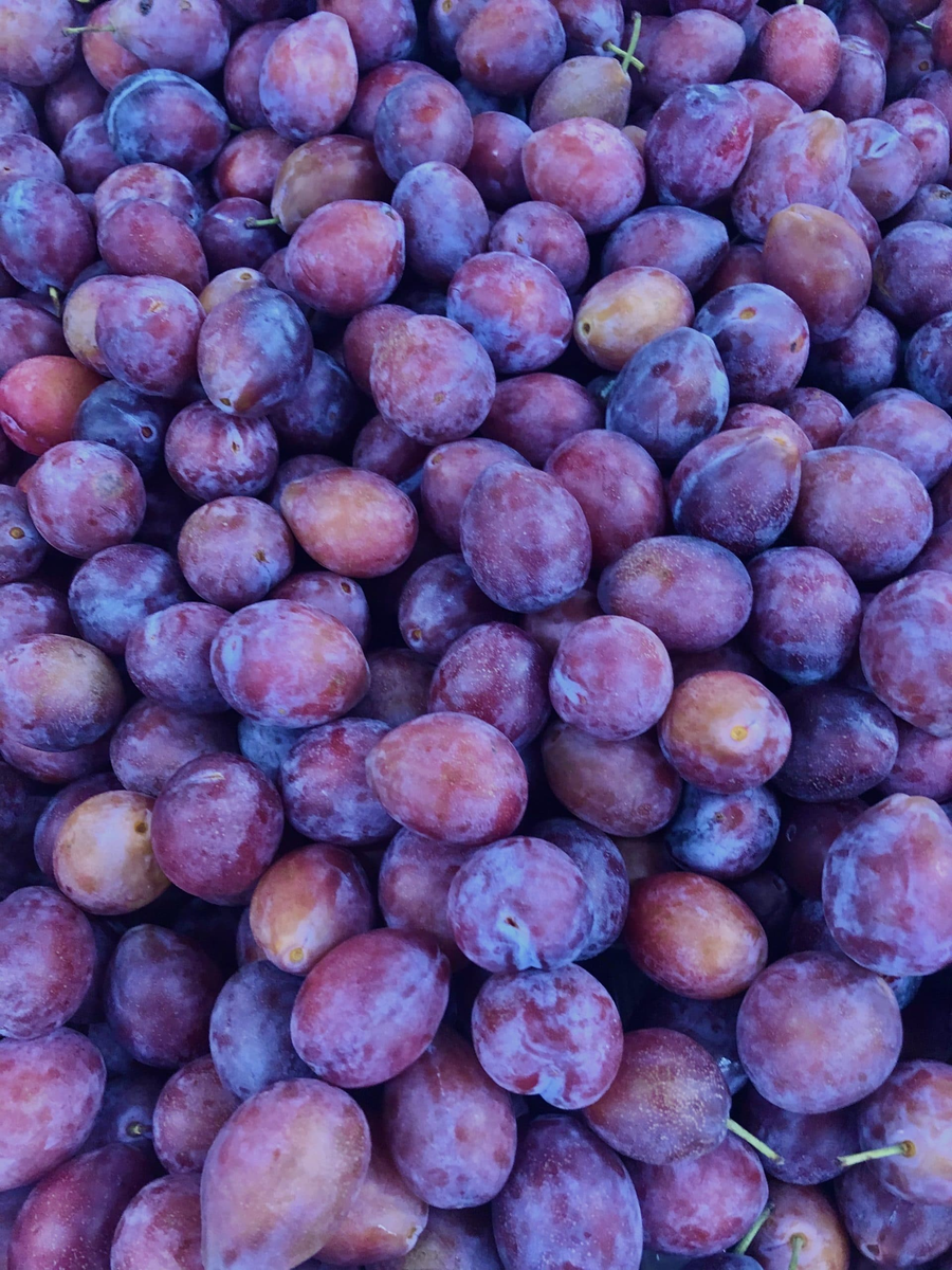 PLUMS SUGAR 