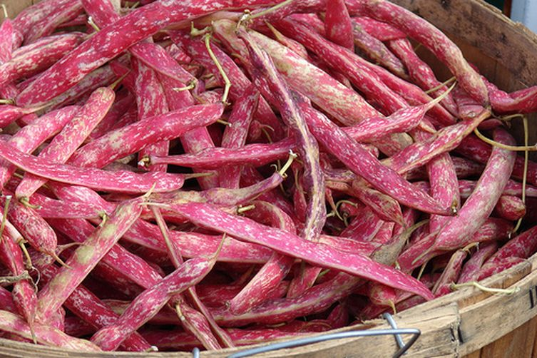 BEANS RED