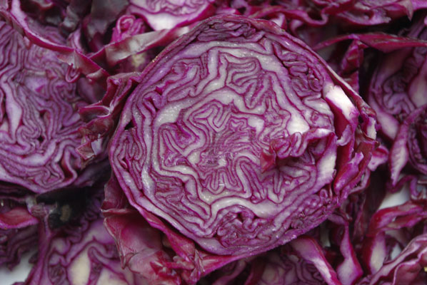 CABBAGE RED