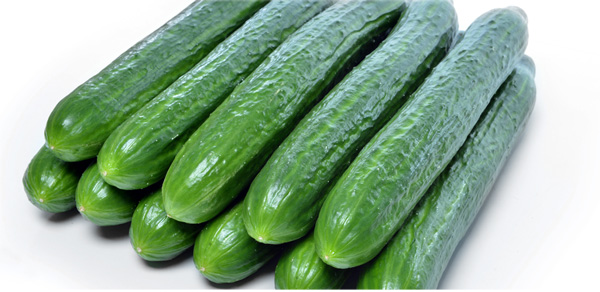 CUCUMBER SEEDLESS