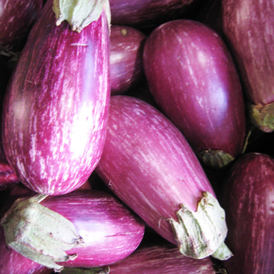 EGGPLANT DOMINICAN