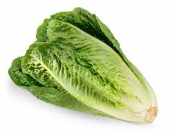 LETTUCE ROMAINE