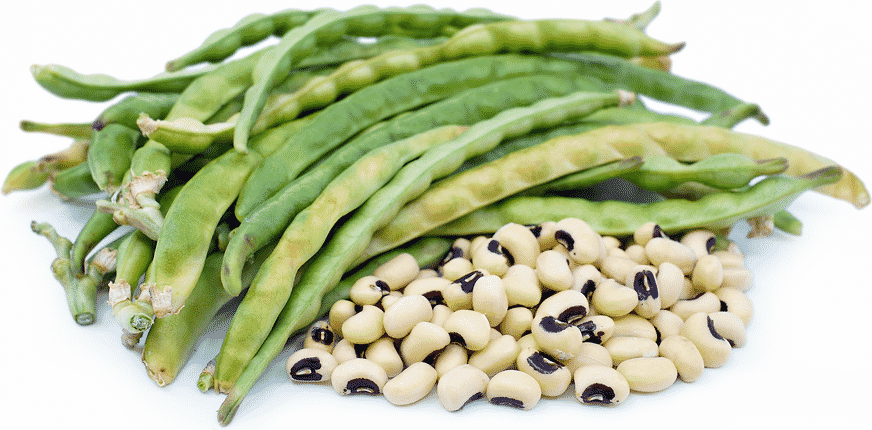 PEAS BLACK EYE 