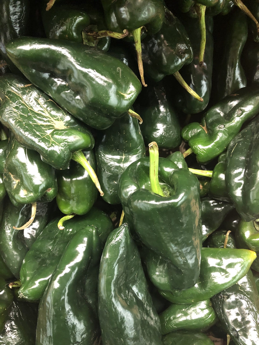 PEPPER POBLANO 