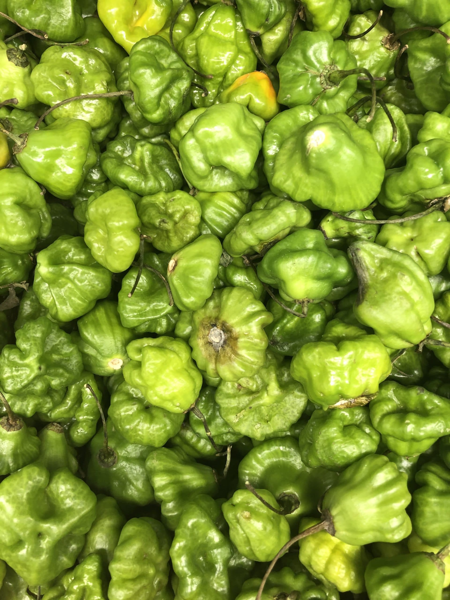 PEPPER AJICES