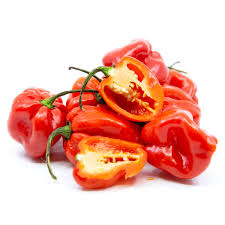 PEPPER HABANERO HOT RED